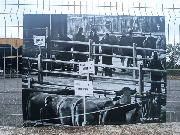 Exposition de photos 