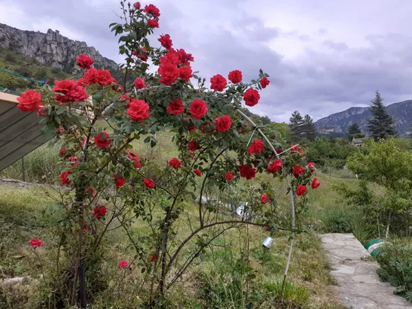 Gîte L'éolien, Gîte L'éolien