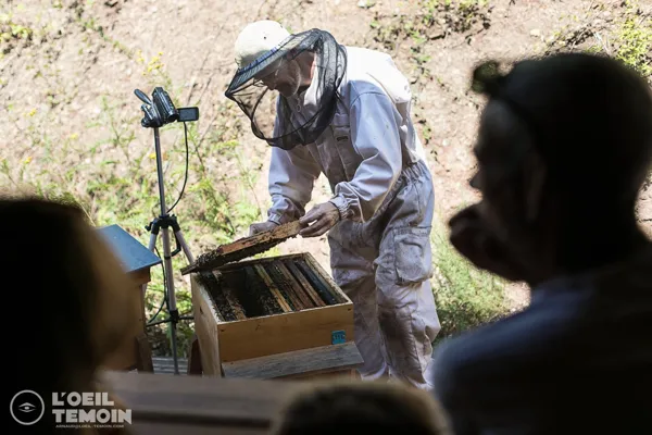 Ferme d’abeilles L’Arc en Miel  (groupes)