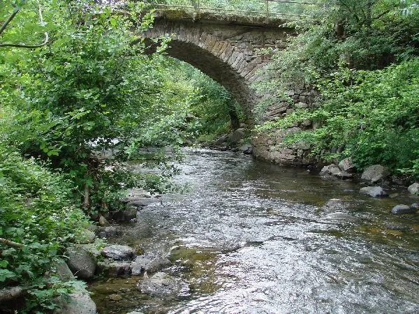 ROUS Jean-Marie - AYG1078