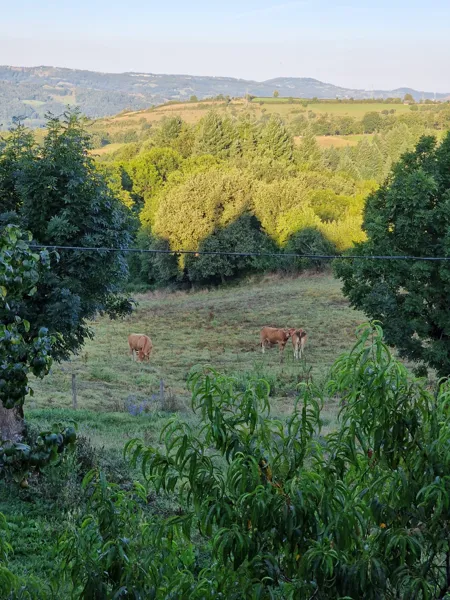 Vue sur la Vallée du Lot
