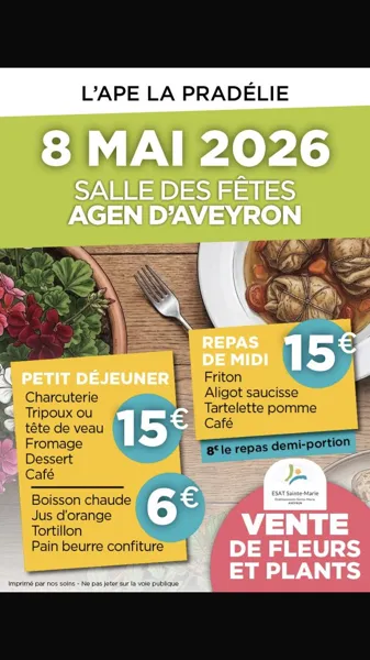 Déjeuner, Vide grenier et vente de fleurs