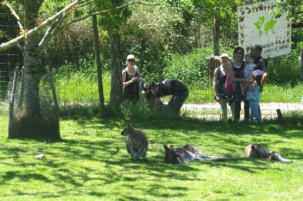 PARC ANIMALIER DE PRADINAS, SEGALA VIVANT