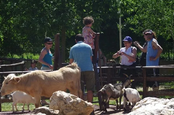 PARC ANIMALIER DE PRADINAS, SEGALA VIVANT