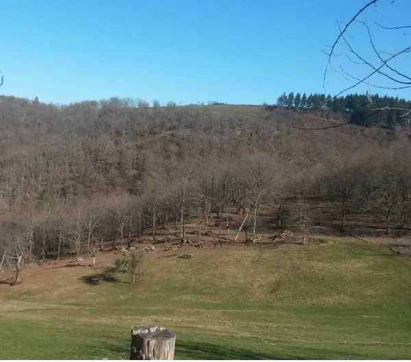 les travaux dans les forêts à la ferme de daoudou, 