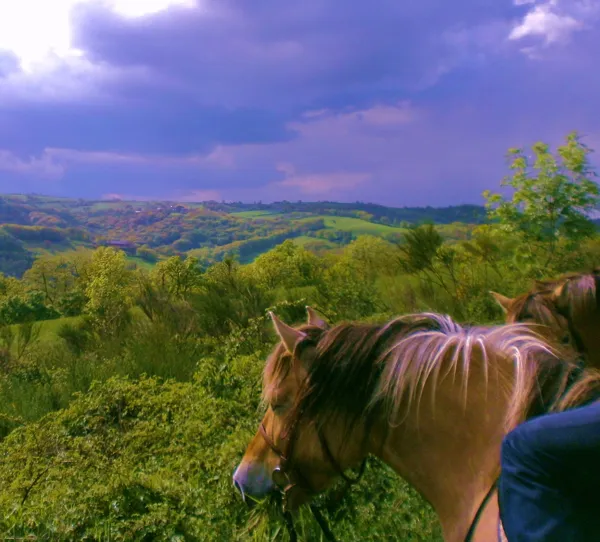 rando aventure, paysage autour de la ferme, 
