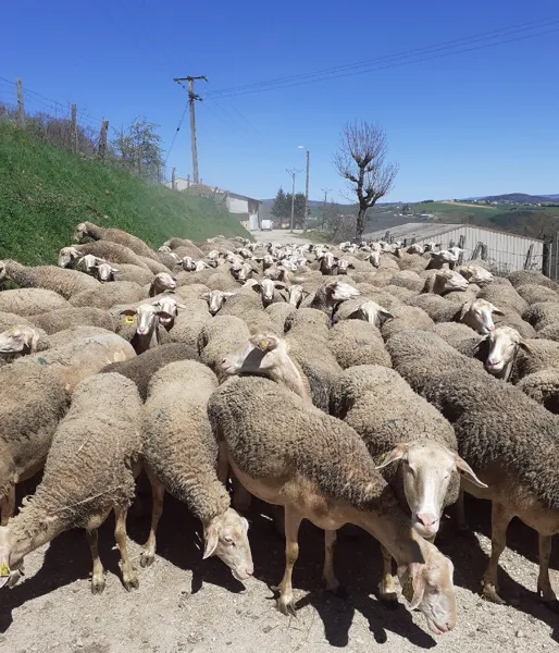 Le Fermier Gourmand, Office de Tourisme des Causses à l'Aubrac