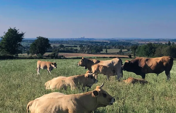 VTT - Circuit 4 Les Trois Châteaux, Alain Tranier