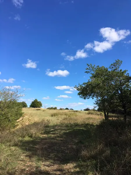 VTT - Circuit 16 La Castonétoise, Carine Bouet