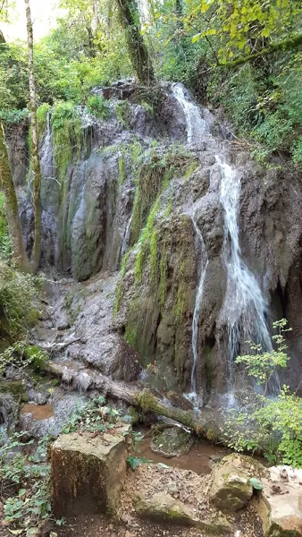 VTT - Circuit 13 La Cuvée Du Vallon, Daniel Bielka