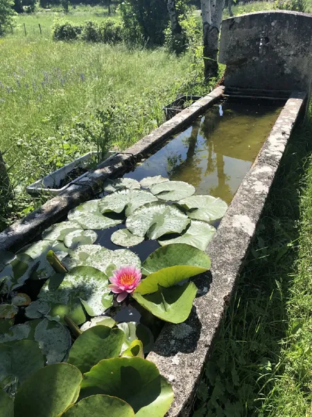 VTT - Circuit 13 La Cuvée Du Vallon, Daniel Bielka