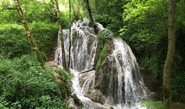 VTT - Circuit 13 La Cuvée Du Vallon, Daniel Bielka