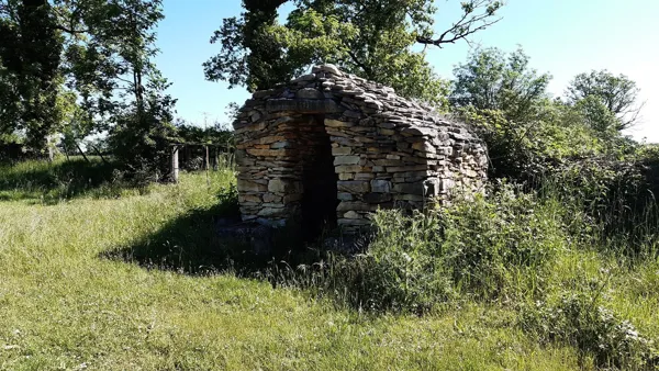 VTT - Circuit 14 Les Cardabelles, Daniel Bielka