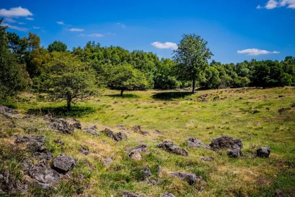 Expédition naturaliste en milieu caussenard