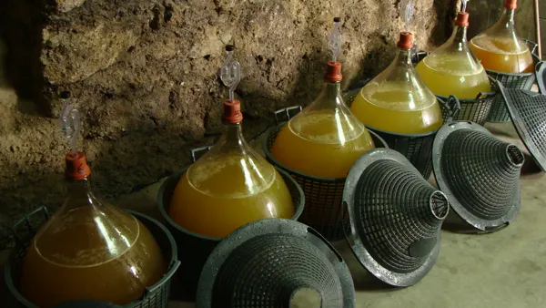 Rencontre avec un hydromélier