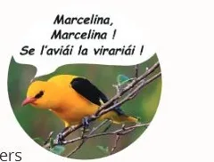 Présentacion dels aucèls