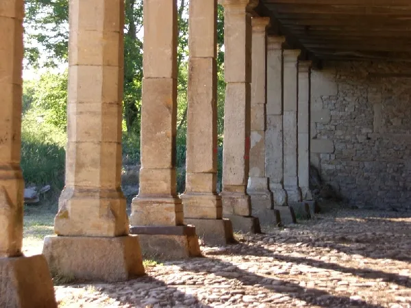 Les Bourines en Rouergue