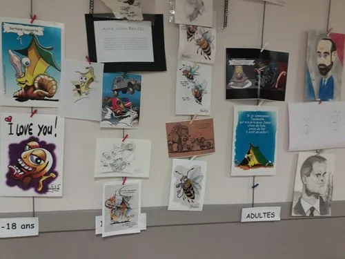 Culture en caricanyon