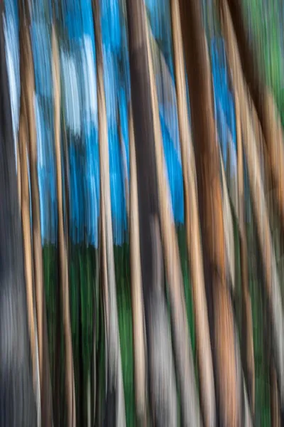 D'CLICK MONTBAZINOIS