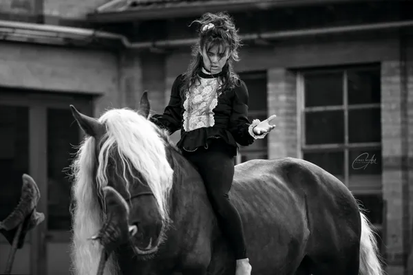 Cie A VOLO CONTRARIO