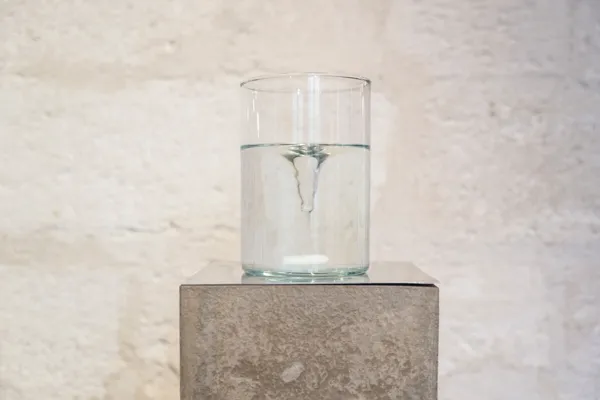 LEROUX Fabrice (artiste)