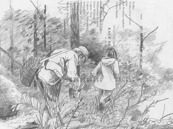 COUDERC Jean-Charles (Aveyron)