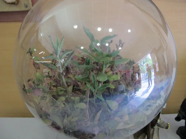 LIRON Christophe (artiste)