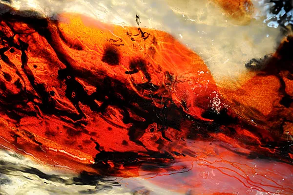 BLANC-BESSIERE Roselyne