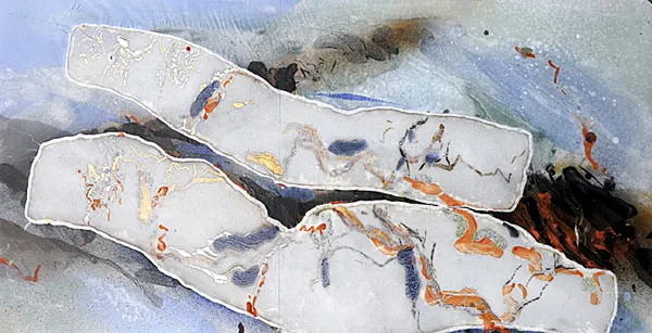 BLANC-BESSIERE Roselyne