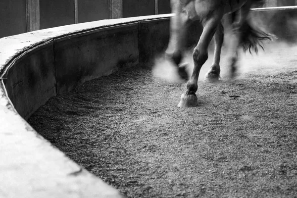 Espace Agri-culturel