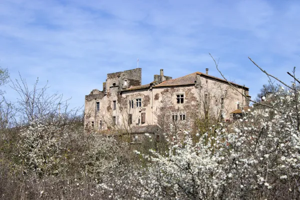 Association des Amis du Château de Latour