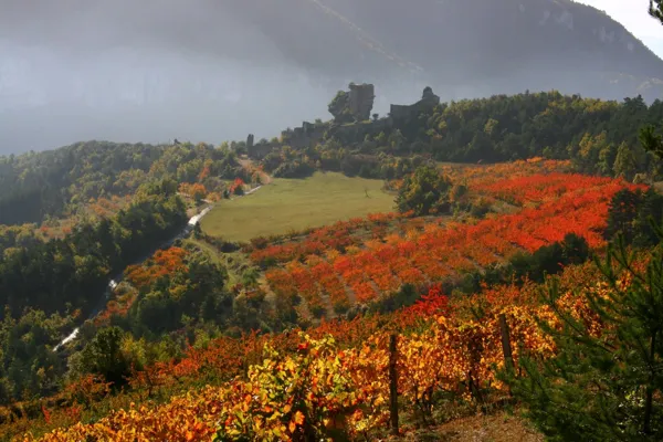 Le Château de Peyrelade