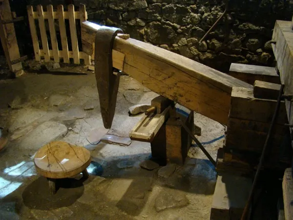 Les Martinets du Lézert