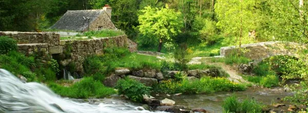 Les Martinets du Lézert