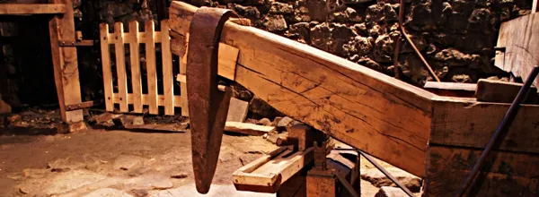 Les Martinets du Lézert