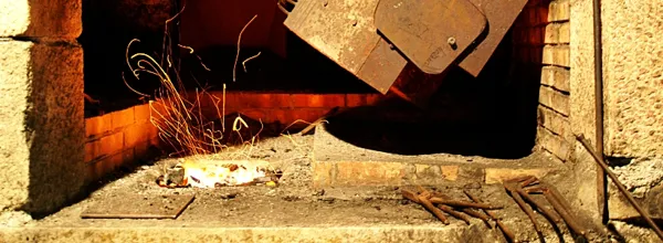 Les Martinets du Lézert