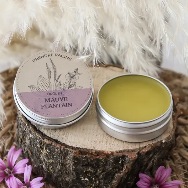 Rencontre avec Prendre Racine : créations artisanales