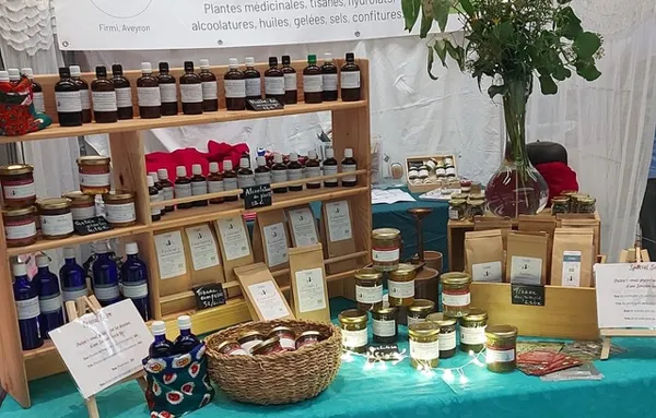 Découverte des plantes médicinales