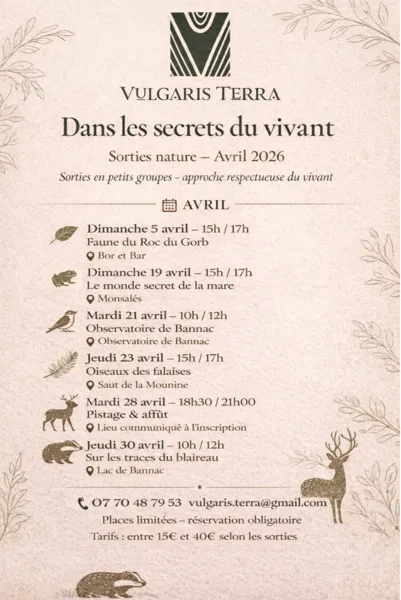 Sortie nature : dans les secrets du vivant - Pistage et affût