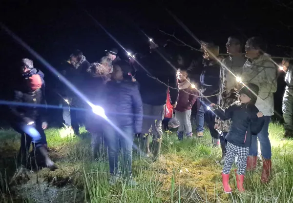 Les saisons de la biodiversité - Balade nocturne