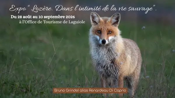 Exposition