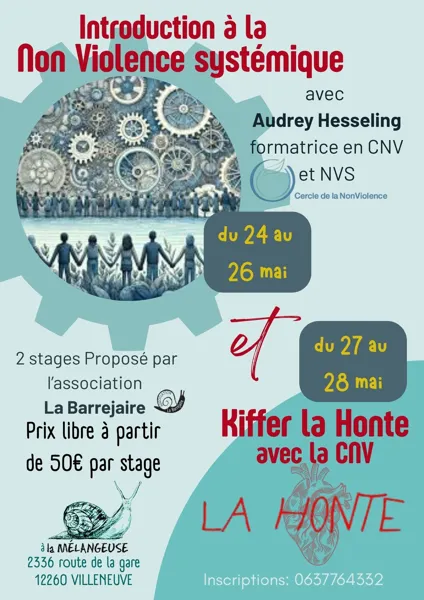 Stage d'initiation à la non-violence systémique