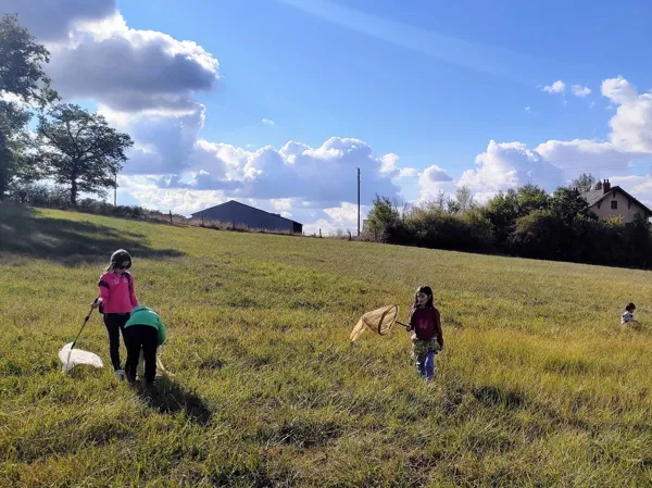 Les saisons de la biodiversité - La nature a des ailes