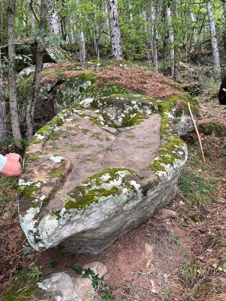 Visite commentée - Les pressoirs à raisin médiévaux