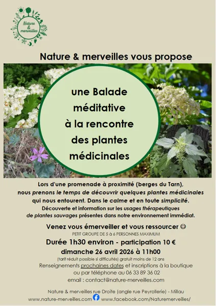Balade méditative à la rencontre des plantes médicinales - Nature et Merveilles