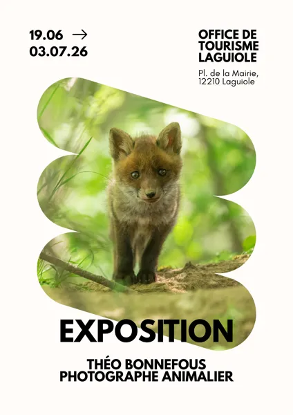 Exposition 