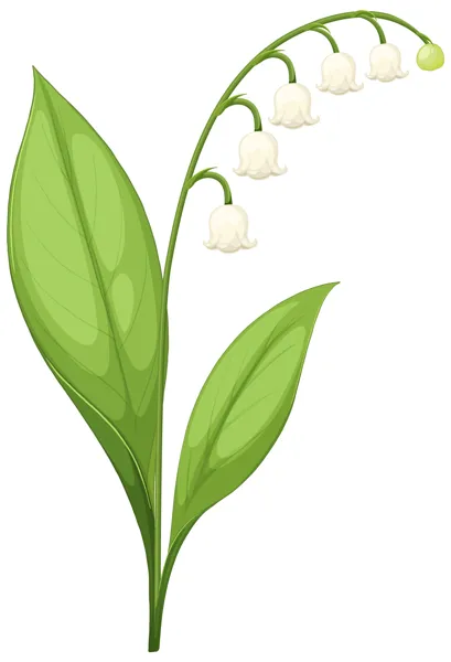 Vente de muguet à Laissac, Sévérac l'Eglise et Palmas