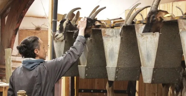 , Eva des Estiv' à Vispens