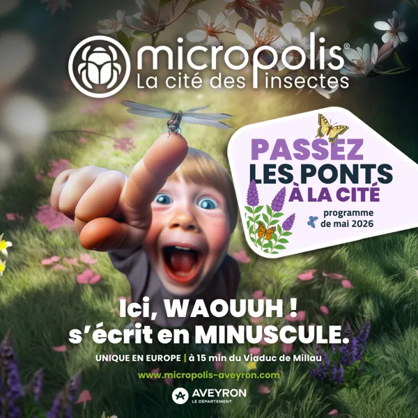 Visite guidée Maison Natale JH FABRE - Micropolis