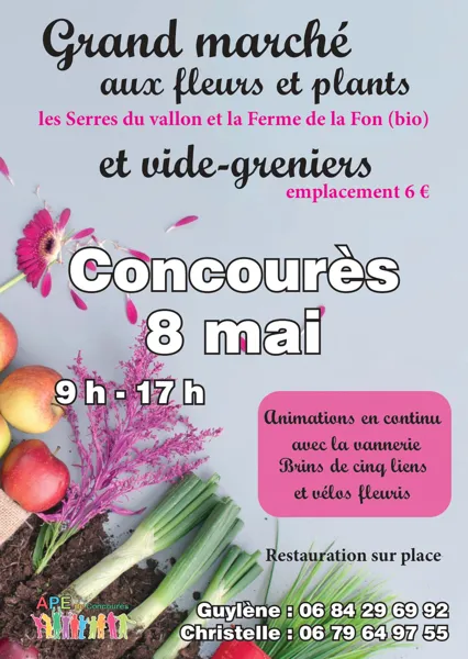 Grand marché fleurs et plants/vide greniers